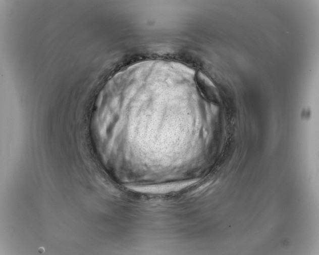 X0000089941393200707201852