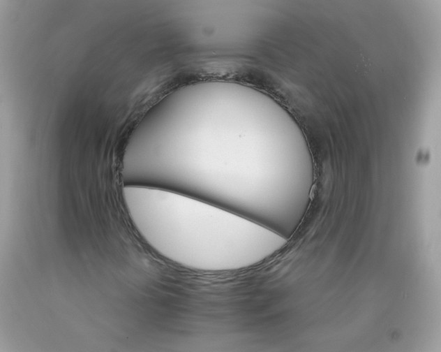 X0000089941394200707201852