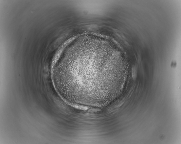 X0000089941395200707201852