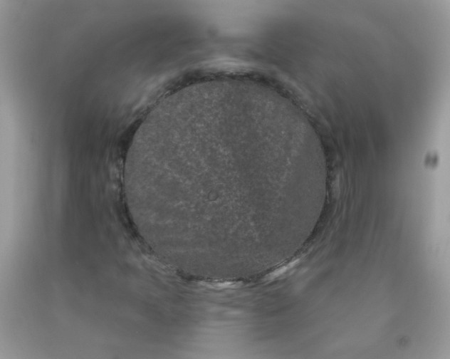 X0000089941397200707201852