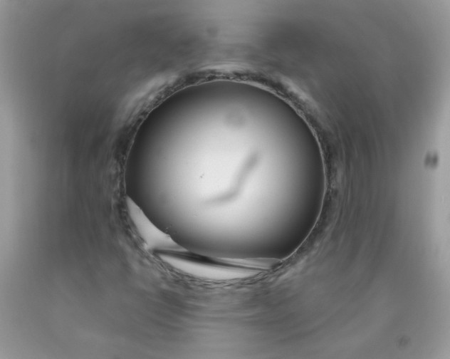 X0000089941398200707201852