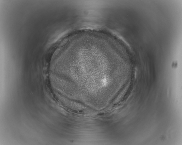 X0000089941399200707201852