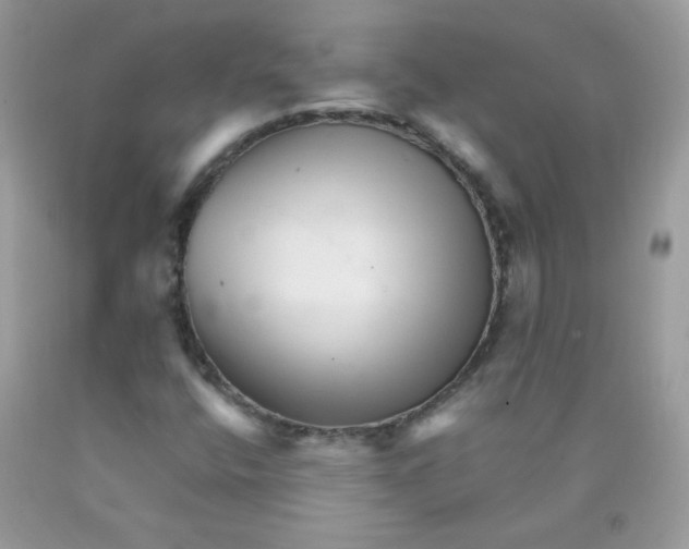 X0000089941400200707201852