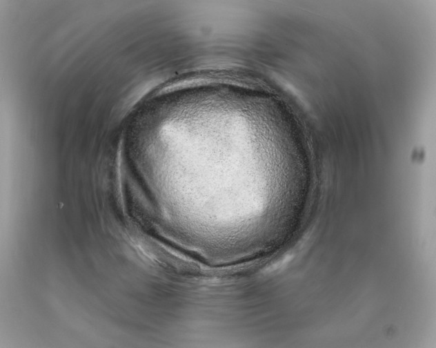 X0000089941401200707201852