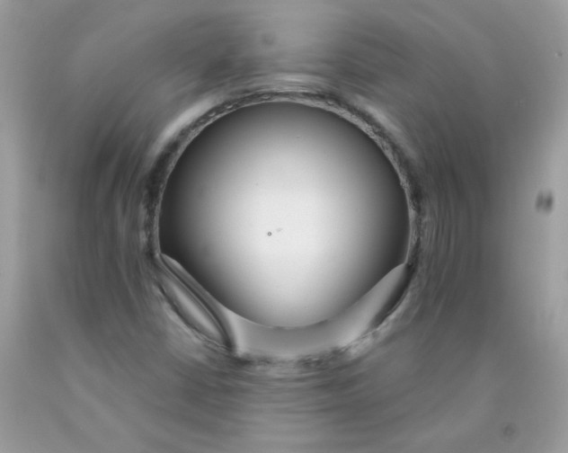 X0000089941402200707201853