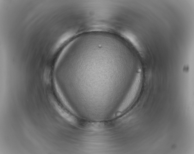 X0000089941403200707201853