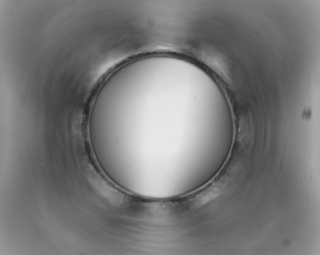 X0000089941404200707201853