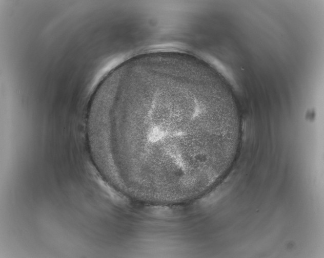 X0000089941405200707201853