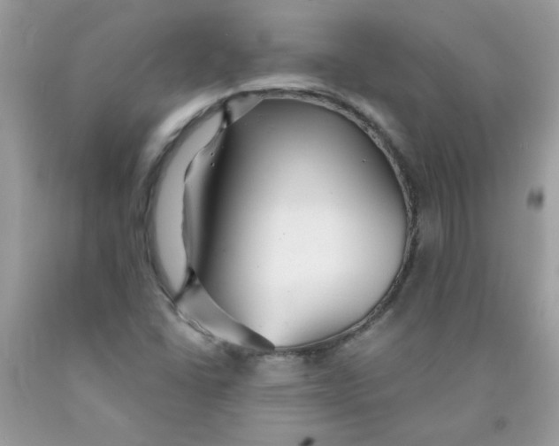 X0000089941406200707201853