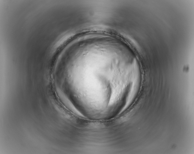 X0000089941407200707201853