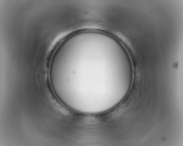 X0000089941408200707201853