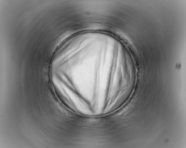 X0000089941409200707201853