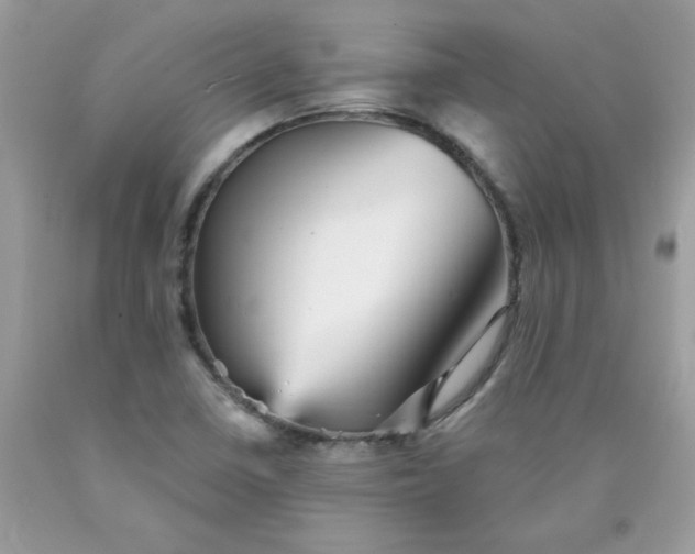 X0000089941410200707201853