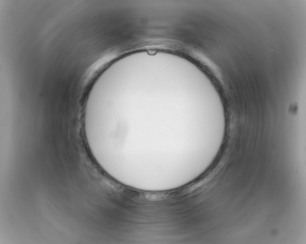 X0000089941411200707201853