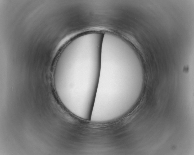 X0000089941412200707201853