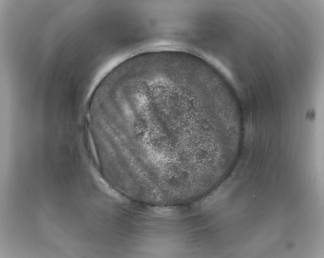 X0000089941413200707201853