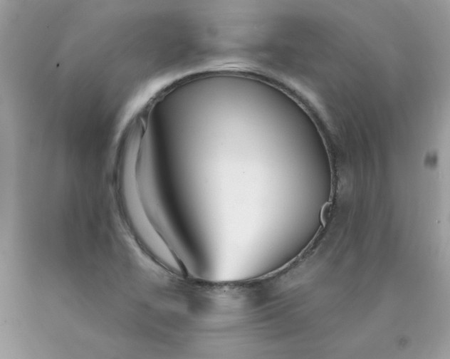 X0000089941414200707201853