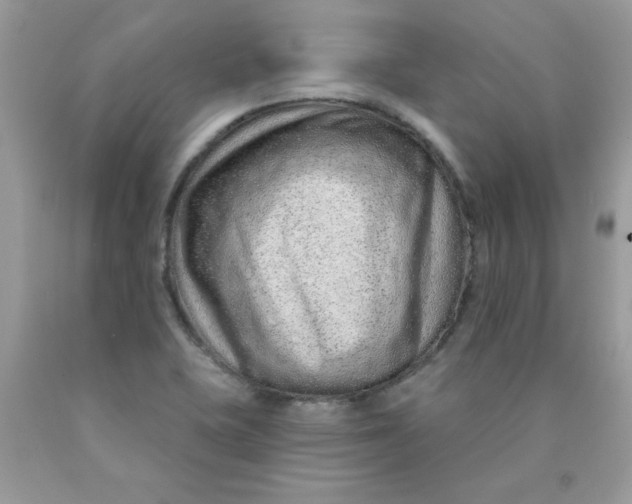 X0000089941415200707201853