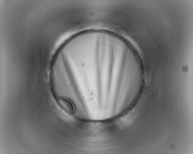 X0000089941416200707201853