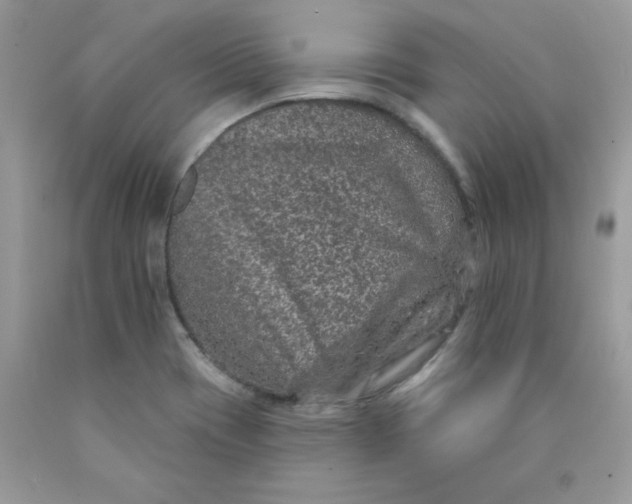 X0000089941417200707201853