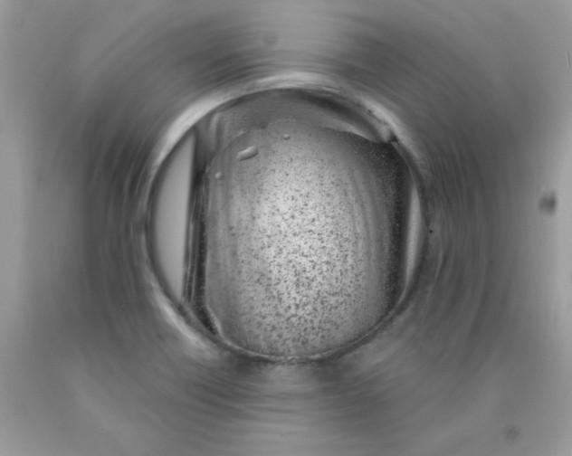 X0000089941418200707201853