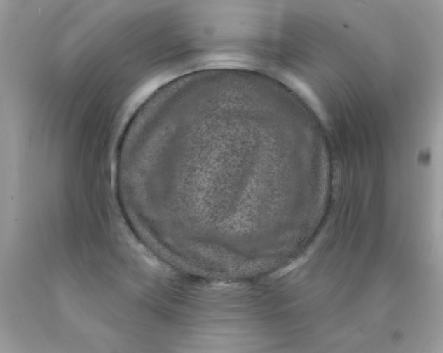 X0000089941419200707201853