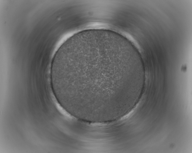 X0000089941421200707201853