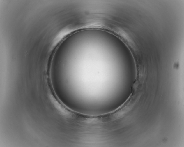 X0000089941422200707201853