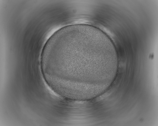 X0000089941423200707201853