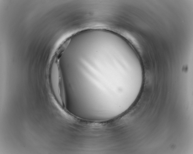 X0000089941424200707201853