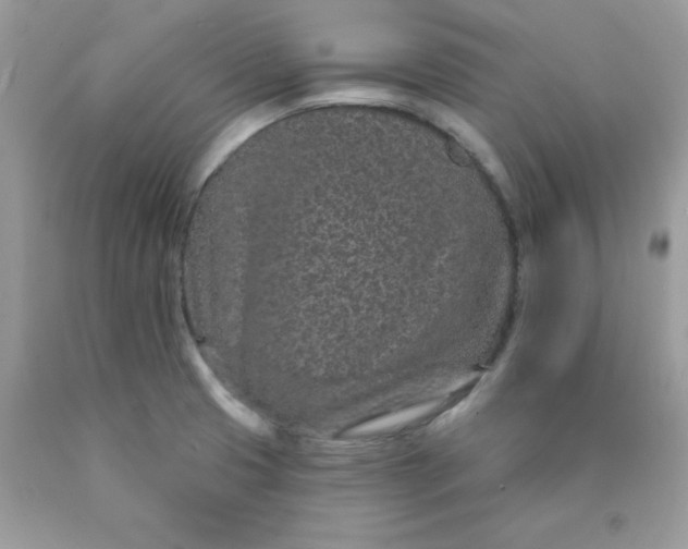 X0000089941425200707201853