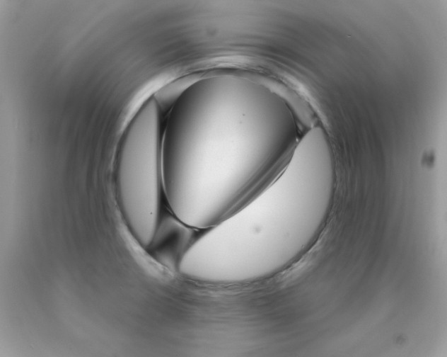 X0000089941426200707201853