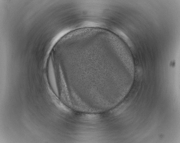 X0000089941427200707201853