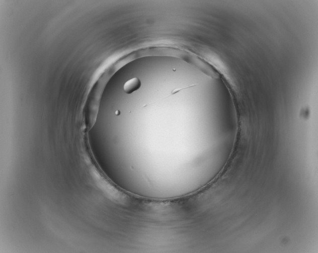 X0000089941428200707201853