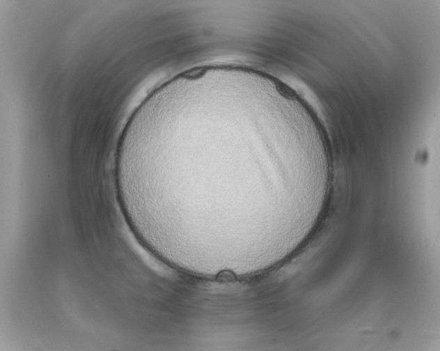 X0000089941429200707201853