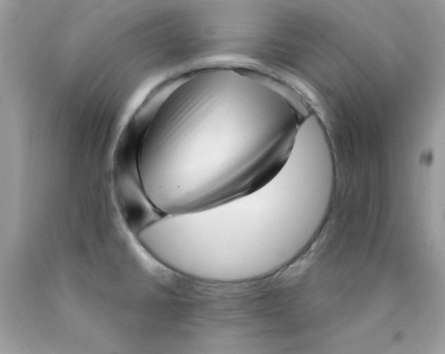 X0000089941430200707201853