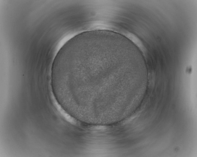 X0000089941431200707201853