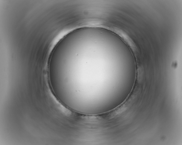 X0000089941432200707201853