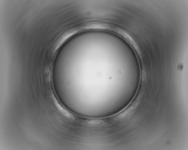 X0000089941433200707201853