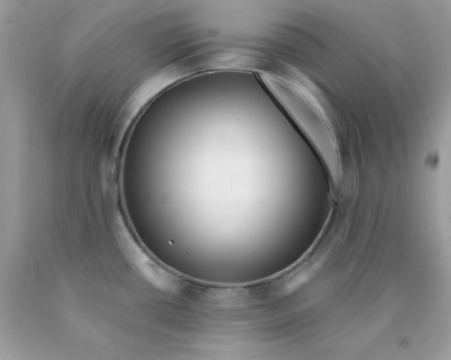 X0000089941434200707201853