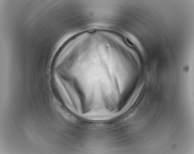 X0000089941435200707201853