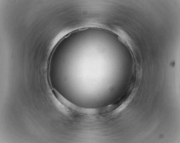 X0000089941438200707201853