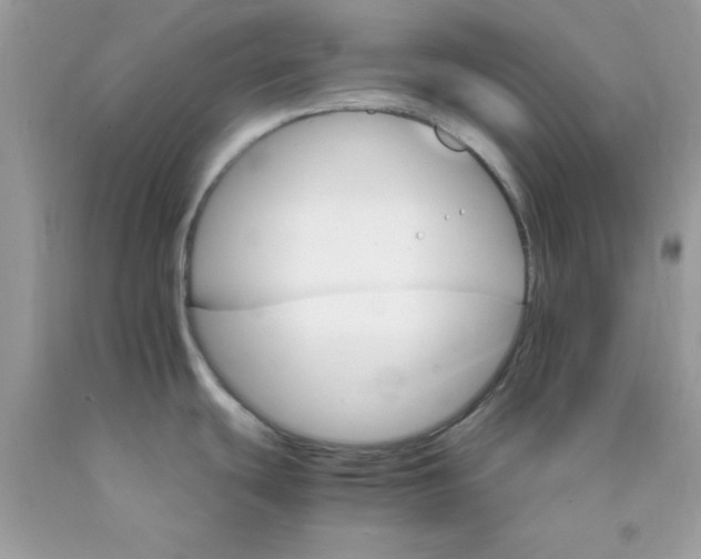 X0000089941439200707201853