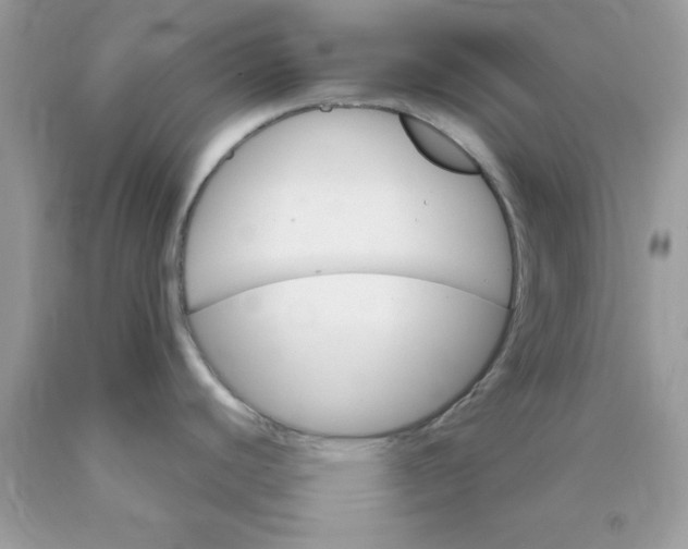 X0000089941440200707201853