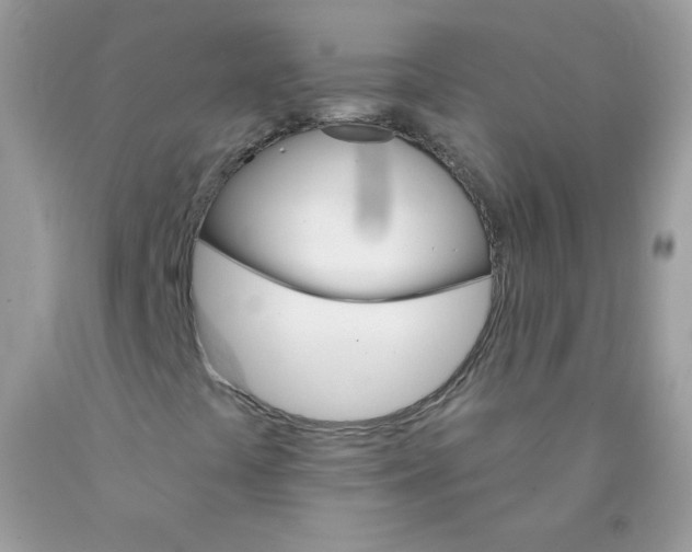 X0000089941441200707201852