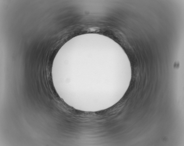 X0000089941442200707201852