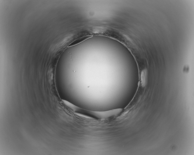 X0000089941443200707201852