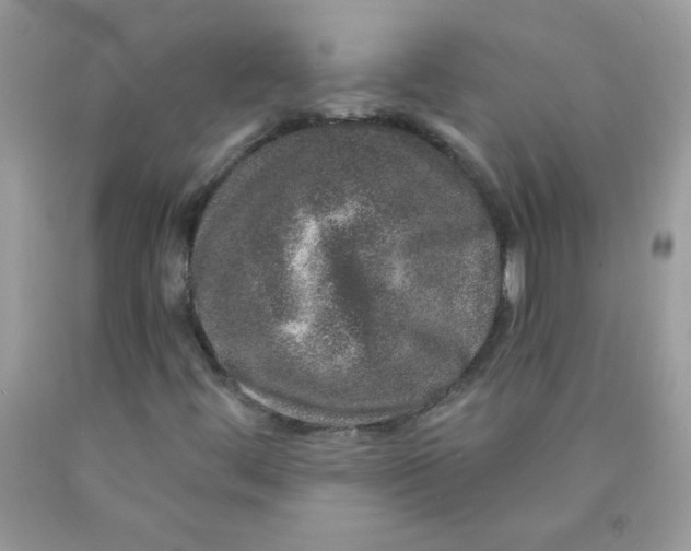 X0000089941444200707201852