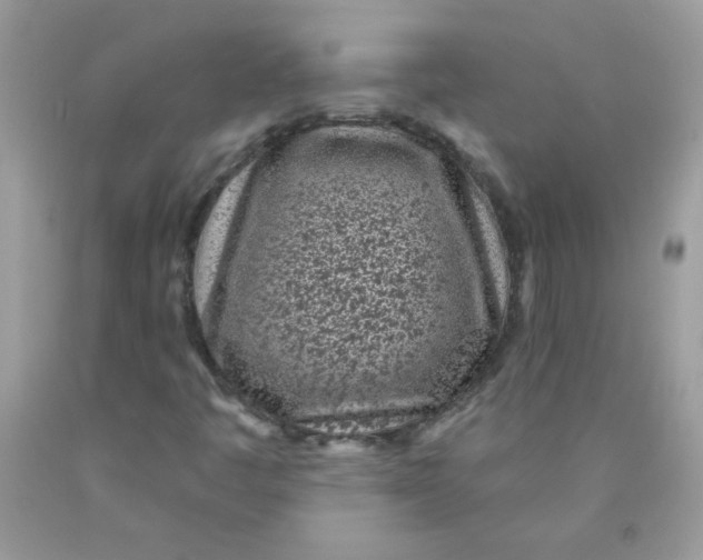 X0000089941445200707201852