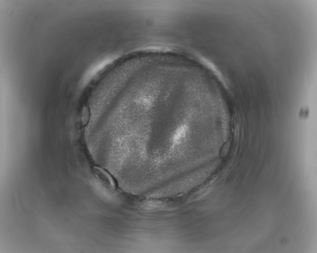 X0000089941448200707201852